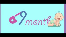 9 Months<span class=