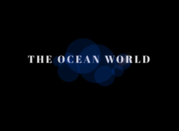 The Ocean World<span class=